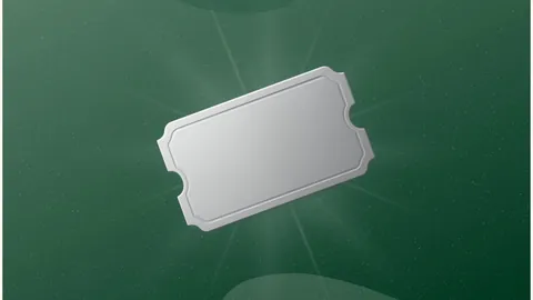 SILVER ticket